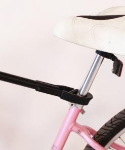 bike adaptor pro